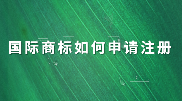 食品商標注冊申請流程(成都商標專利注冊申請)