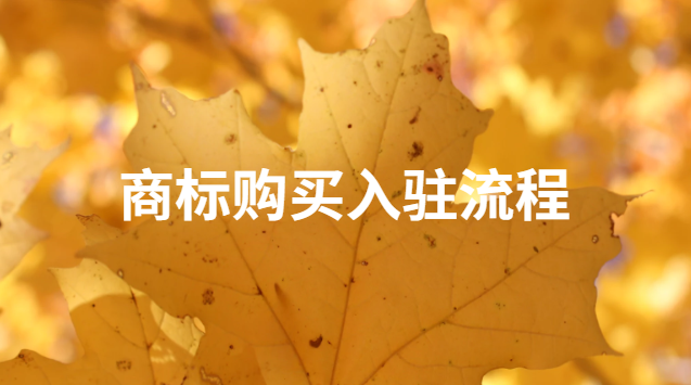 商標(biāo)購(gòu)買(mǎi)渠道(商標(biāo)購(gòu)買(mǎi)渠道一覽表)