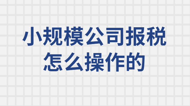 小規(guī)模納稅人每月報(bào)稅操作流程(小規(guī)模納稅人網(wǎng)上報(bào)稅怎么操作)